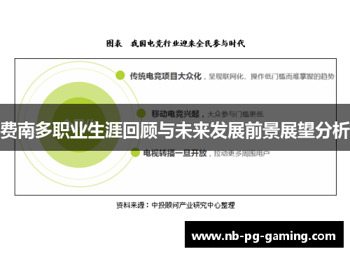 费南多职业生涯回顾与未来发展前景展望分析